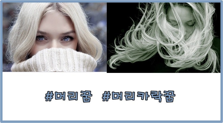 머리,머리카락꿈 꿈해몽,꿈풀이