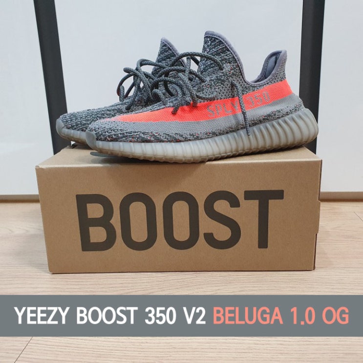  신발리뷰! YEEZY BOOST 350 V2 BELUGA 1.0 OG ( 실착, 정가품 구별 )