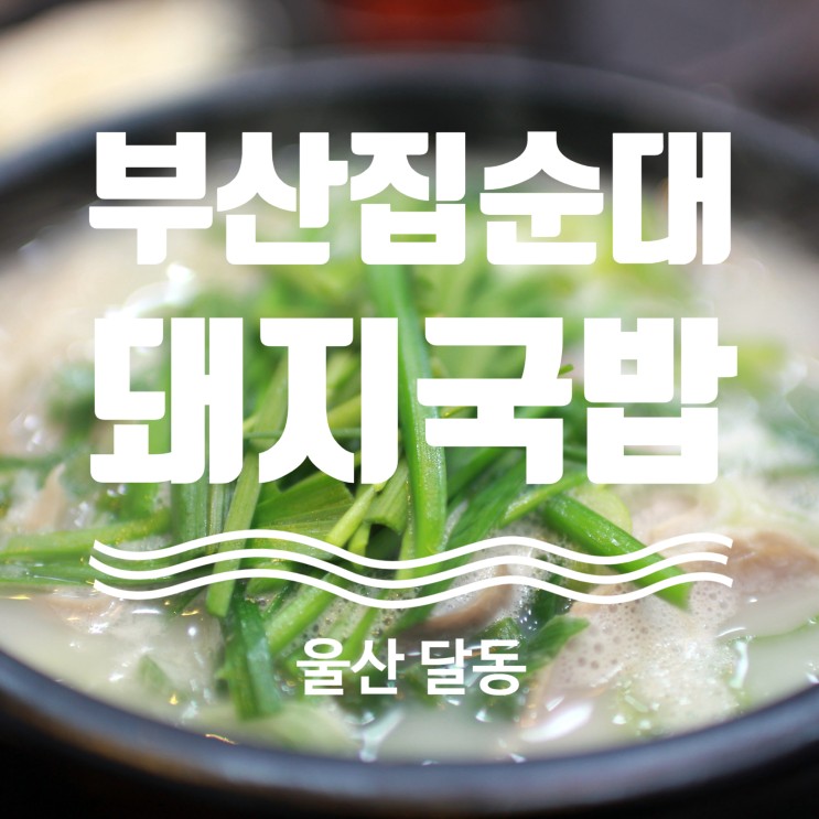 울산 국밥 맛집 부산집순대돼지국밥 남구청 맛집 추천