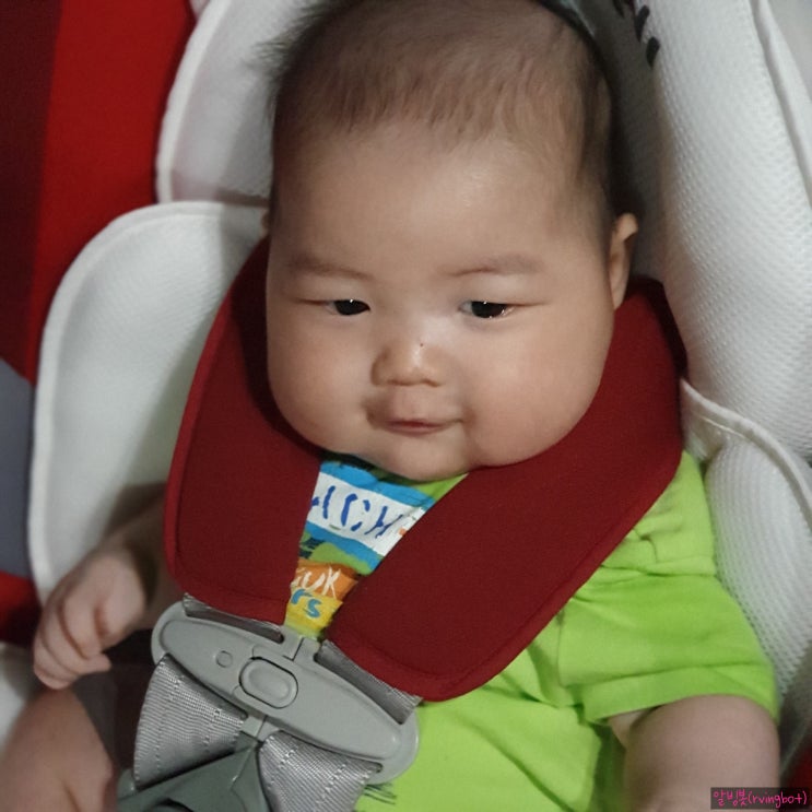  신생아부터 아기 아이 카시트 잘 태우기 [카시트 벌금은 얼마?]