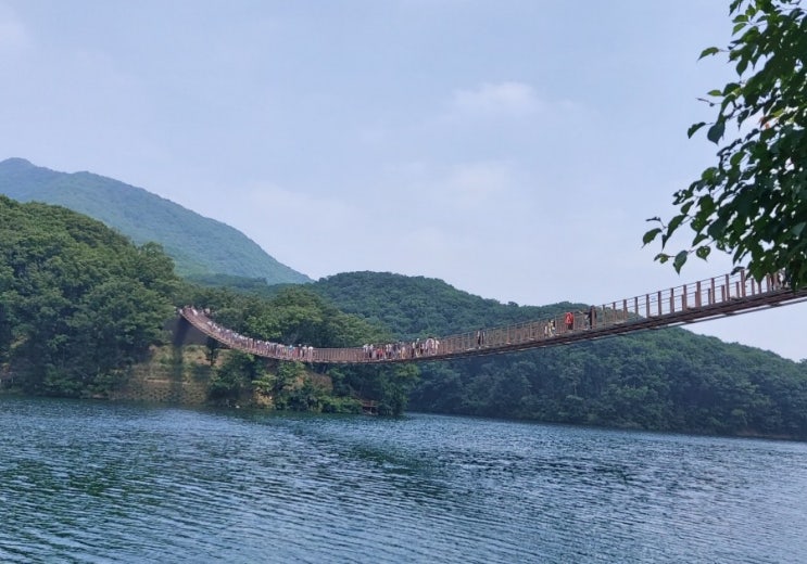 서울근교가볼만한곳 파주 마장호수 출렁다리  국내에서가장긴 보도교