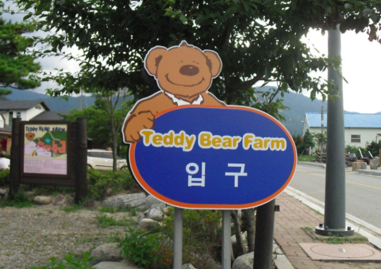  속초 여행 테디베어팜 아이들이 좋아하는 곳 ~