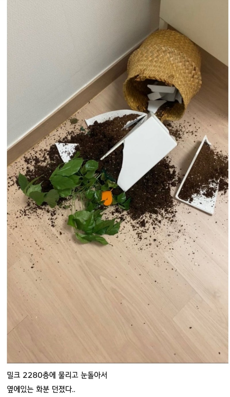 코인하지 마라, 당신도 이렇게 될 수 있다 : 네이버 블로그