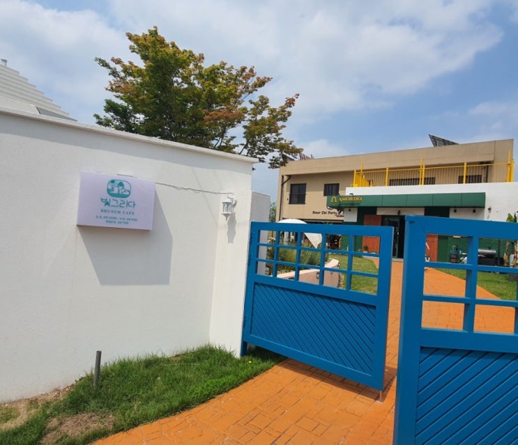 뛰어놀기 좋은 카페 청주 빛그리다 내돈내산 with 와니의 힐링도서