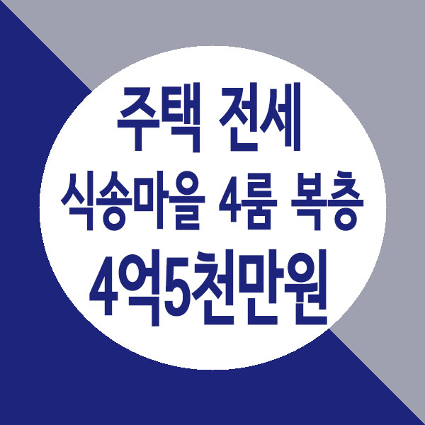  남양주 별내식송마을 전세, 테라스가 좋은 방4개 복층구조 주택 전세
