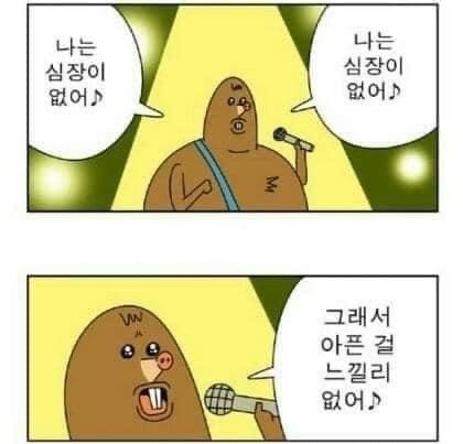  코인짤 / 비트코인짤 / 웃긴코인짤 / 도지짤 / 도지코인짤 / 짤 머스크짤 / 카톡짤 / 단톡짤