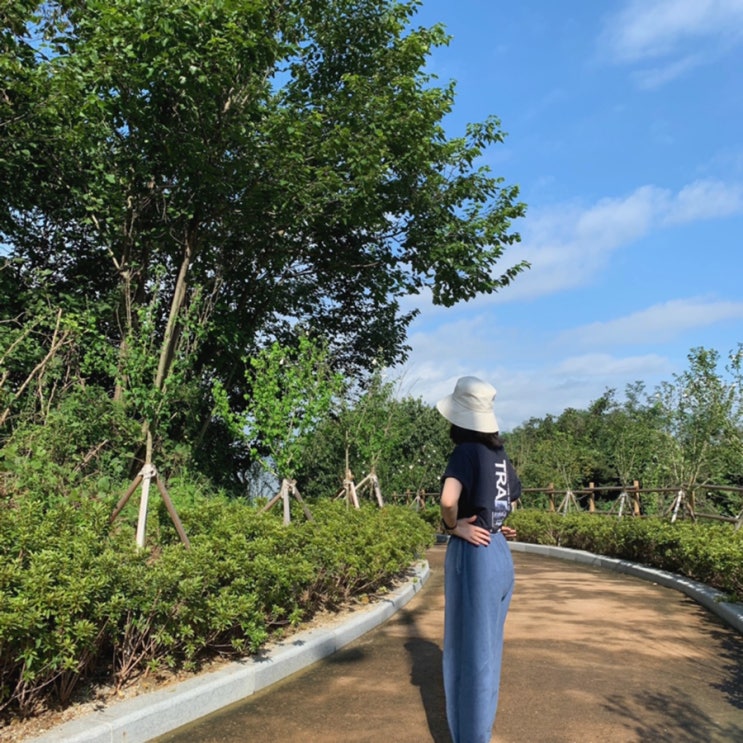 지장사 북청색 여름 법복, 55가 입는 77사이즈 지장사 북청색 여름 법복, 55가 입는 77사이즈