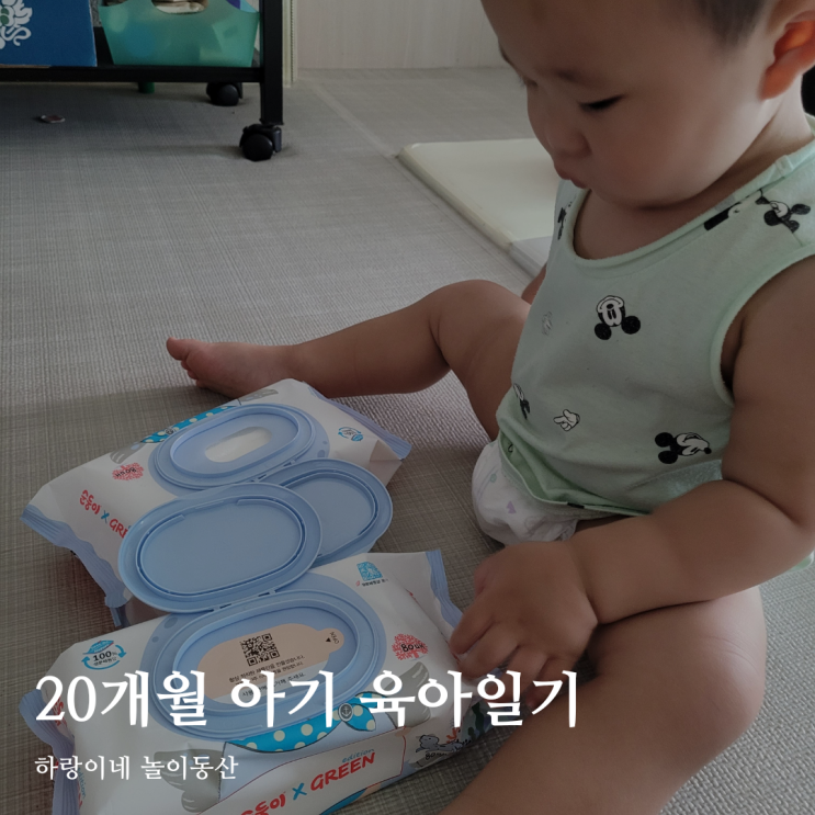  20개월 아기 성장발달 육아기록 / 생후608일~610일 / 영양플러스 평가, 1일1외출, 노래에 맞춰 춤추기
