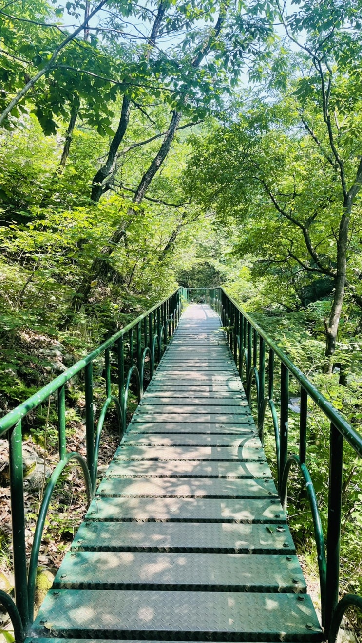  블야100대명산 유명산 등반 계곡물 진짜 시원함 