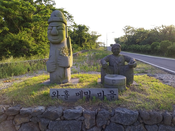  6월 제주가볼만한곳 찾는다면 와흘메밀마을!