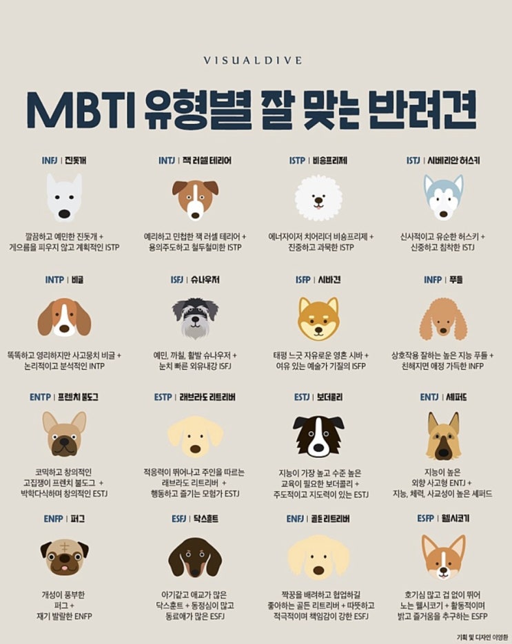  MBTI유형별 잘 맞는 반려견