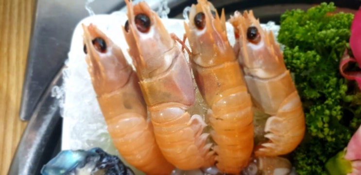  대전 해산물 맛집 해팔이네 포장마차