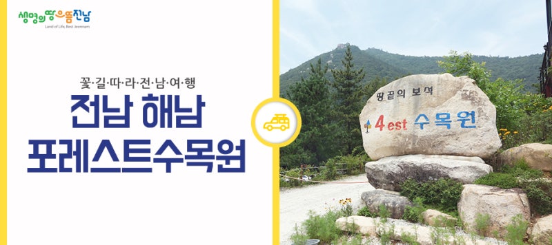 [전남 해남] 6월 여행지 추천! 전남 수국명소 포레스트 수목원에서 힐링여행하기