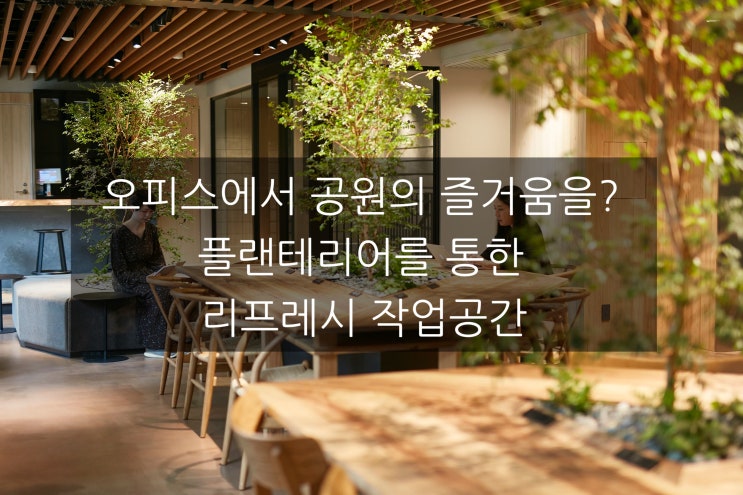  「은퇴창업을 위한 공간생각」오피스에서 공원의 즐거움을? 플랜테리어를 통한 리프레시 숲속의 업무공간