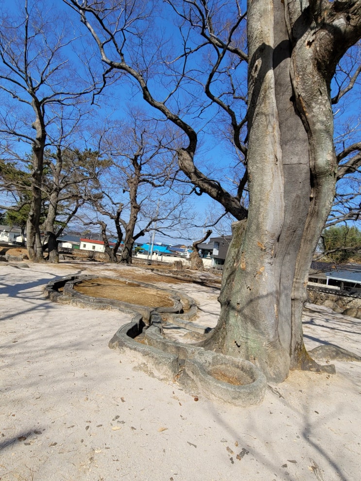  경북 경주_포석정 역사 유적지, 경주 역사 투어, 신라 유적, 경주 관광 안내도,경주 가볼만한 곳