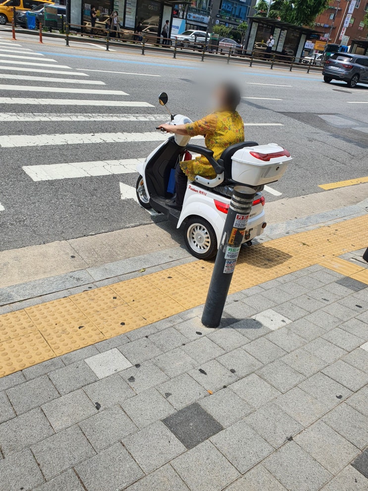  교통약자의 이동편의 증진법