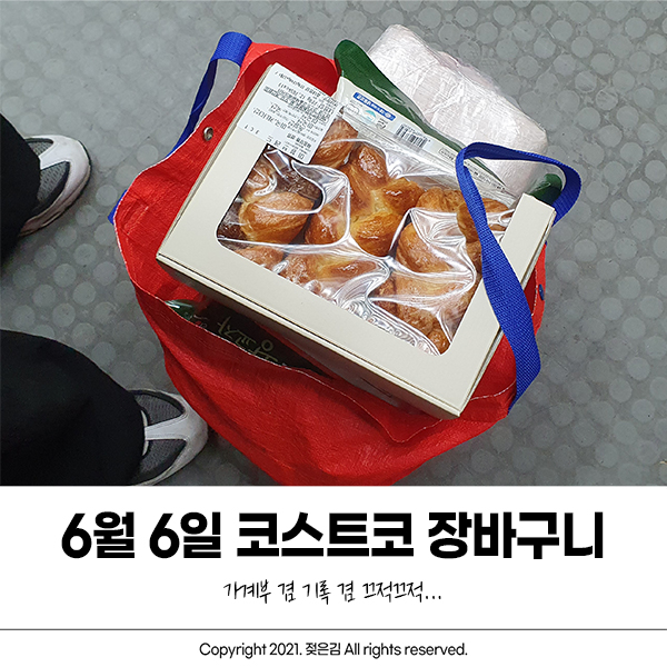 6월 6일 코스트코 장바구니 기록 6월 6일 코스트코 장바구니 기록
