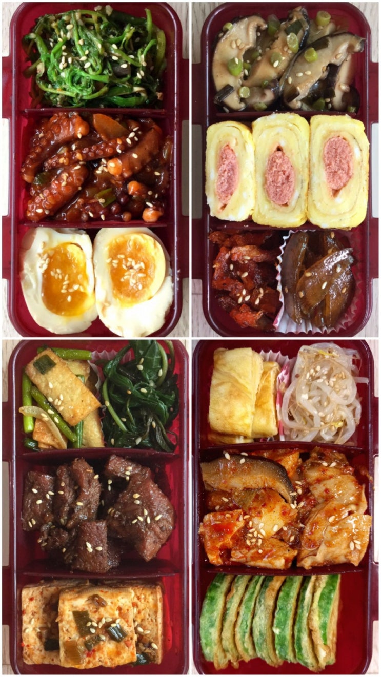 요즘 반찬거리로 직장인 남편 점심 도시락 만들기 요즘 반찬거리로 직장인 남편 점심 도시락 만들기