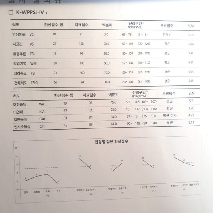  [발달치료를 해보니..] 4. 자폐검사는 무엇인가요? (2)웩슬러검사 지능검사