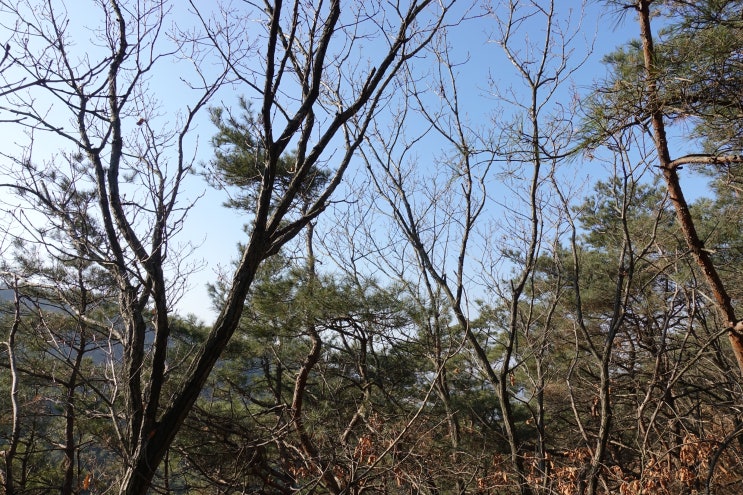  목이물감 부정맥 증상이 모두 나타난 경우