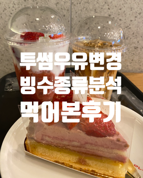  투썸 우유 변경 추천! 빙수종류 칼로리 가격 달고나카페라떼 반전 디저트 이유 신논현점