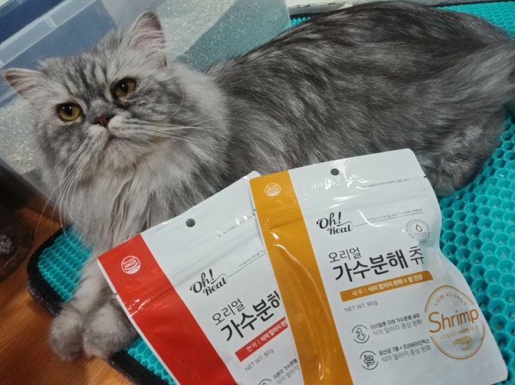  저알러지 간식, 오리얼 가수분해 츄 본격 리뷰!