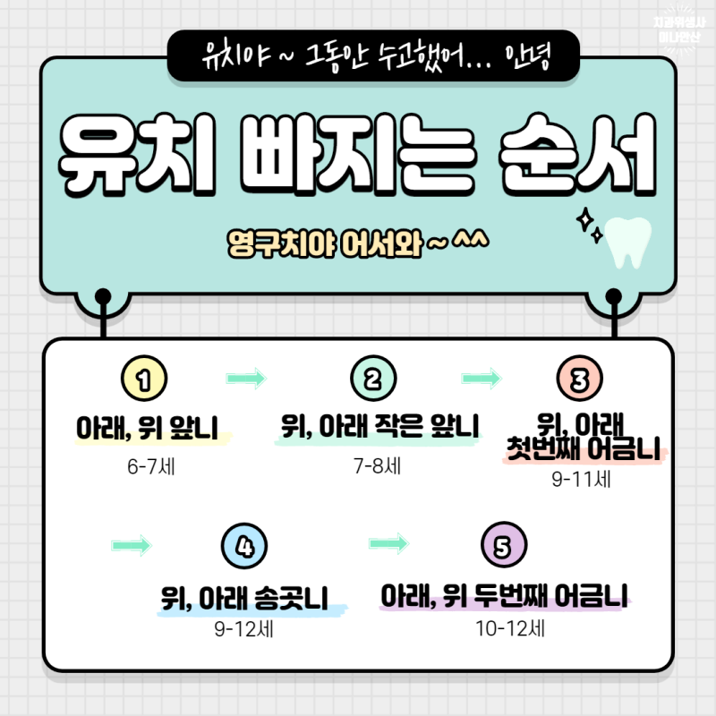 유치 나는 순서 & 유치 빠지는 순서 / 유치 흔들림, 유치발치 / 유치보관함 / 소아치과 : 네이버 블로그