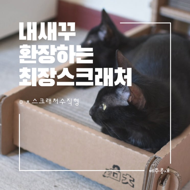  미야옹철 ㅁㅊ 전투 스크래처 수직형 실사용 후기:)