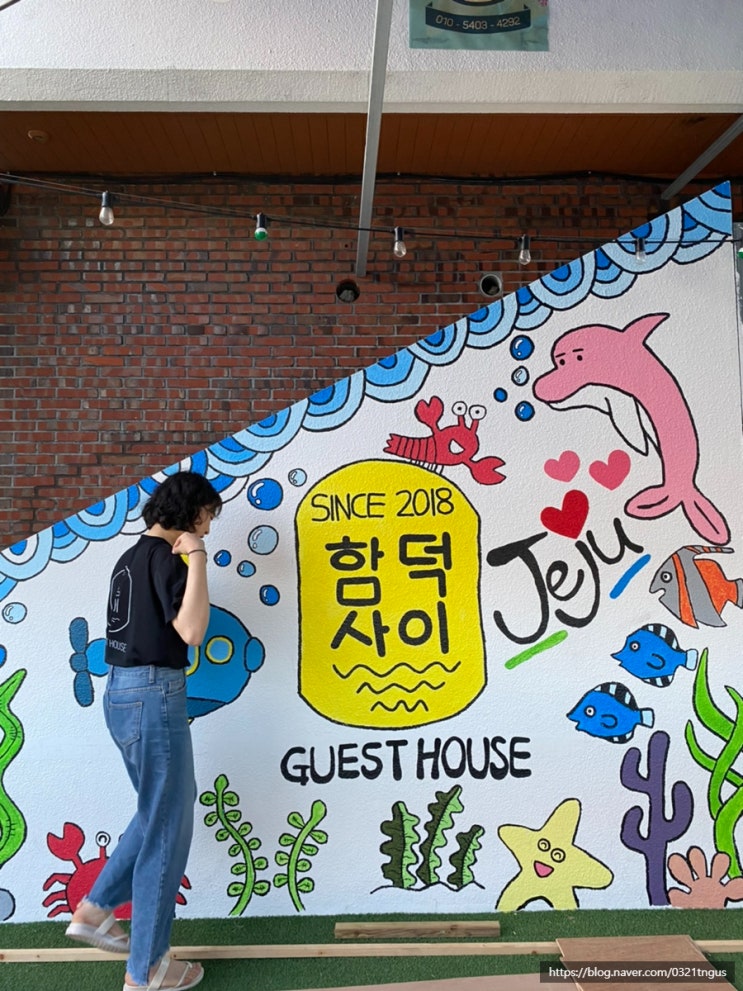  [제주살이#1] 제주도 한달살기 준비_게스트하우스 스탭자리 구하기/ 좋은 게스트하우스 고르는 꿀팁!
