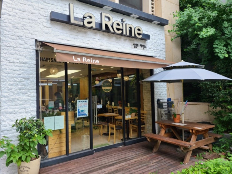 상한 머리 복구는 강남구청 미용실 살롱드라헨느 상한 머리 복구는 강남구청 미용실 살롱드라헨느