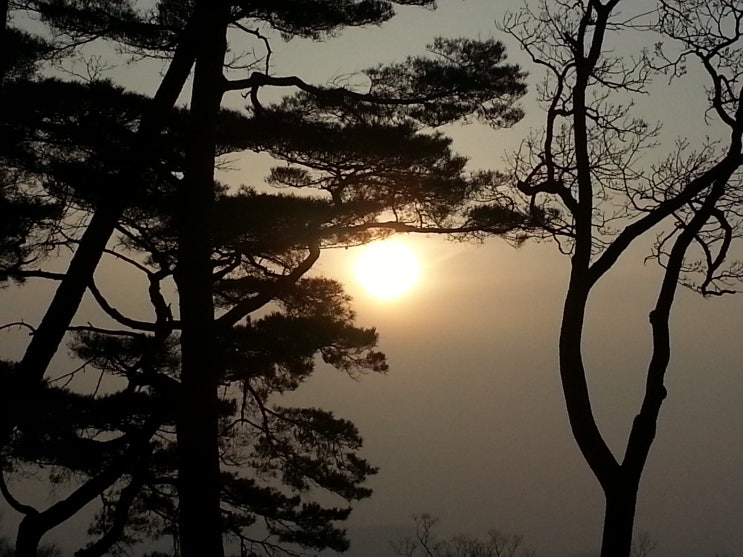 마음을 비우다 보면 마음을 비우다 보면