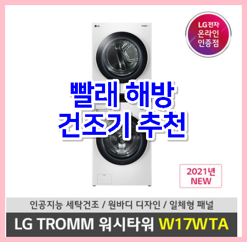  집안일이 힘들면? Lg 전자 트롬 워시 타워 W17wta