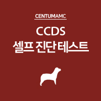 반려견 인지기능장애 증후군(CCDS) 셀프 진단 테스트 항목들