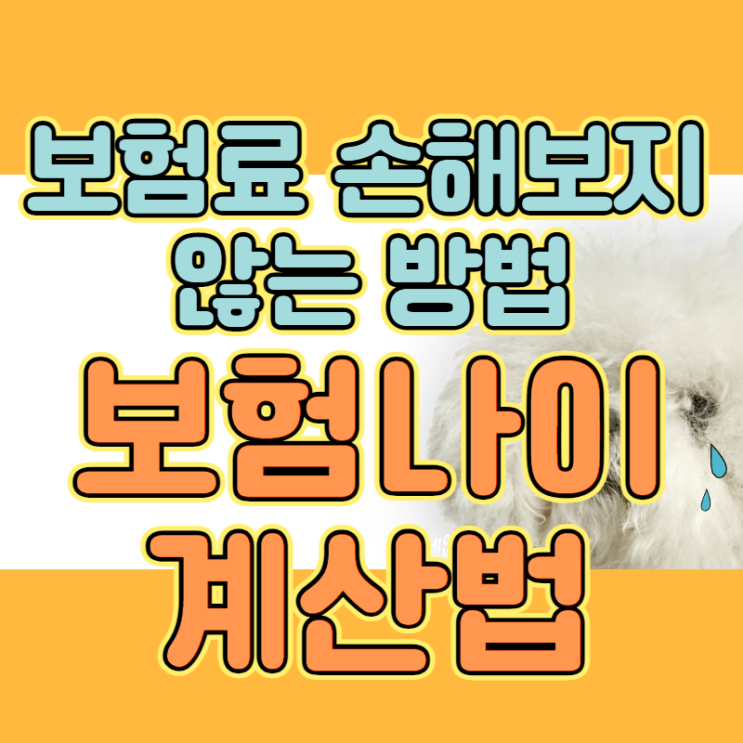  보험상령일, 보험료 손해보지 않는 방법