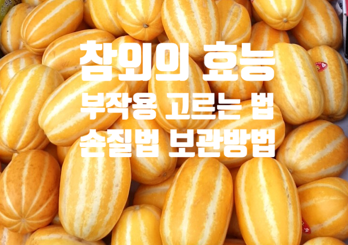  해독 피로 회복 참외 효능 (ft. 부작용 고르는 법 손질법 보관 방법) 칼로리