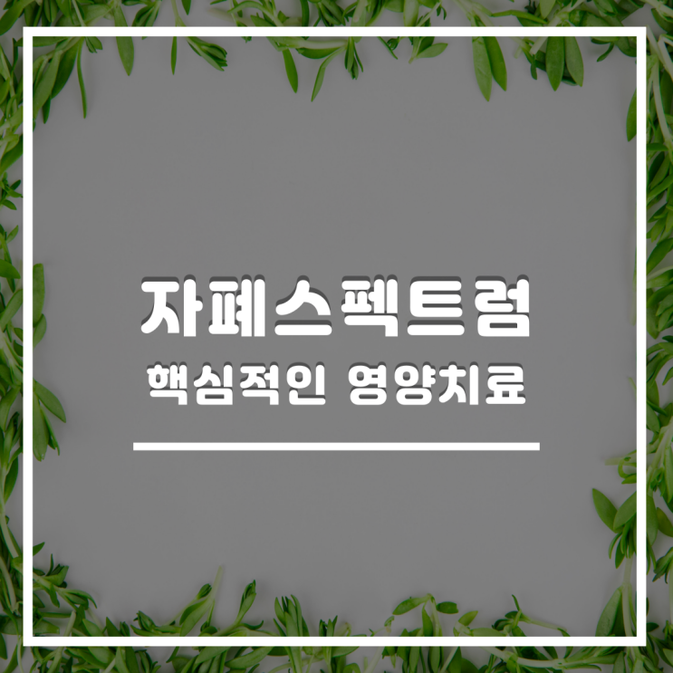  자폐스펙트럼 예방 및 관리에 효과적인 영양 치료, 해독 치료의 중요성