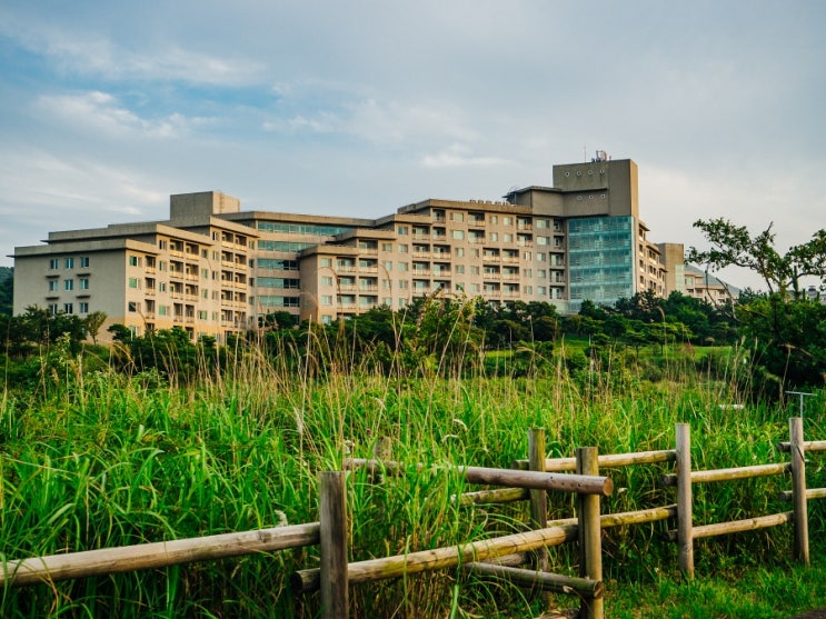 제주도 호텔 가성비 굿 제주 한화리조트 최저가로 예약하기 제주도 호텔 가성비 굿 제주 한화리조트 최저가로 예약하기