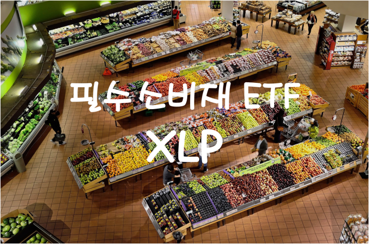  [인플레이션 관련주] 필수소비재에 투자하는 XLP ETF