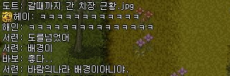  [바람의나라 갈 때까지 간 치장 근황.jpg