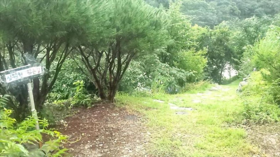 월악산꽃피는산골 사진 3