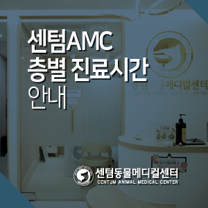  센텀동물메디컬센터 층별 진료시간 안내 / 부산 수영교차로 전문진료 동물병원