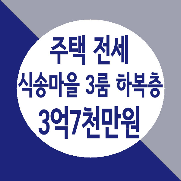  별내 식송마을 전용테라스가 좋은 3룸 하복층 주택 전세