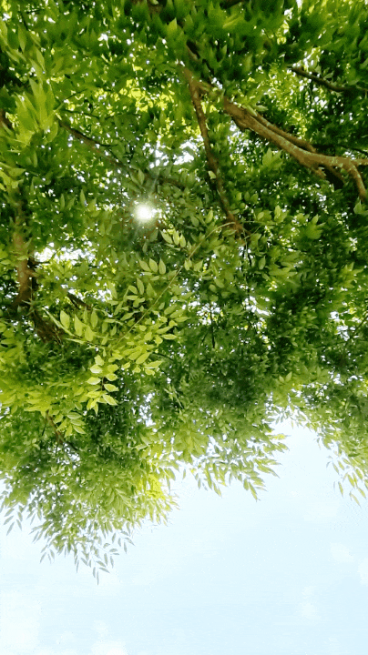  영주 무섬마을에서 미래의 내가 보내는 시그널을 보았습니다