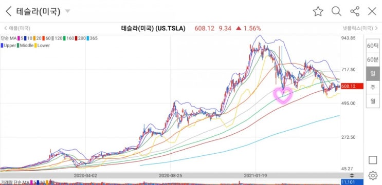  서학개미의 테슬라(TESLA)사랑, 21년에도 계속 될까? 테슬라 주식 차트 분석