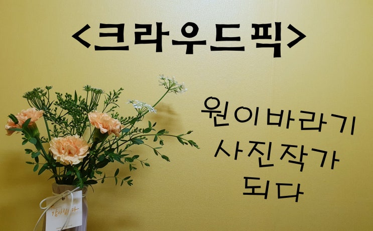  크라우드픽 스톡사진 승인성공 및 불가사유 이제 나도 원이바라기작가랍니다