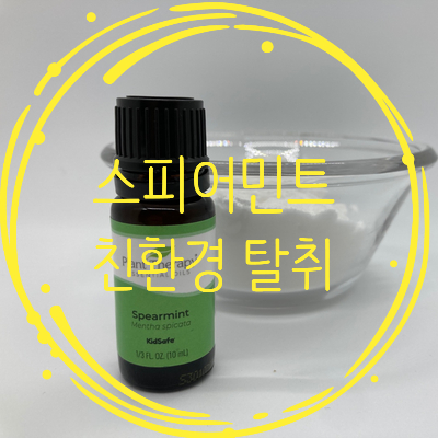  스피어민트 에센셜 오일 100% 활용하기