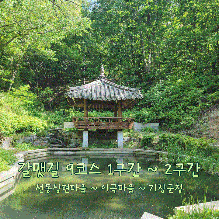  [걷기] 갈맷길 9코스 1구간-2구간 : 선동상현마을 ~ 철마천 ~ 이곡마을 ~ 모연정 ~ 기장군청