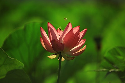 오늘참예쁘다(2) 이미지