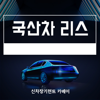  국산차리스의 모든 정보 확인하기