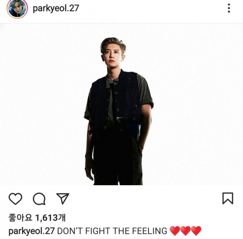 엑소 'DON'T FIGHT THE FEELING'] 찬열 사주